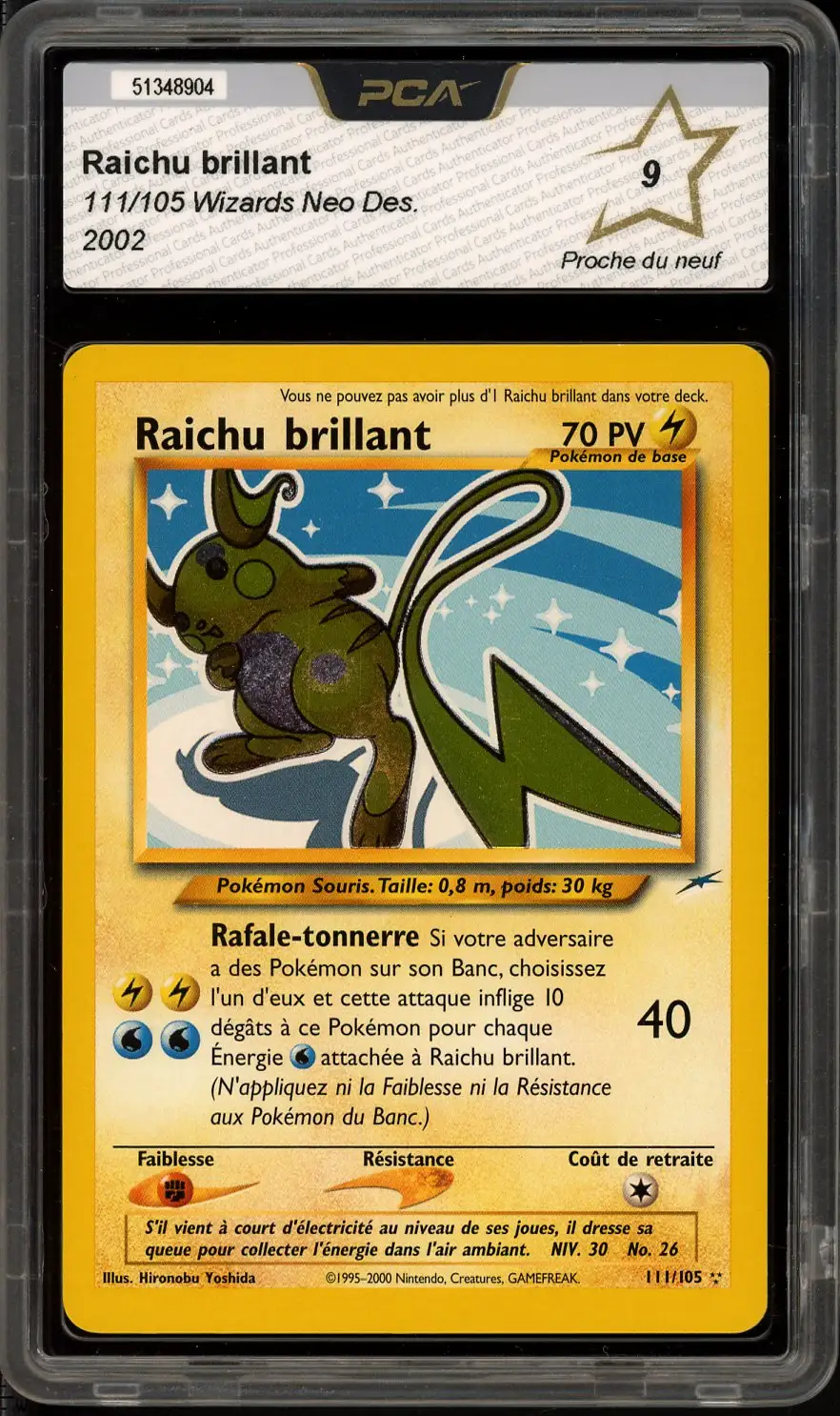 PCA 9 Raichu Brillant Holo