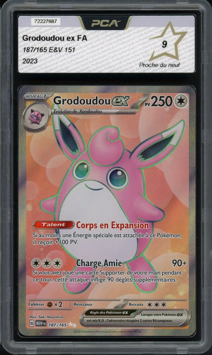 PCA 9 Grodoudou Ex