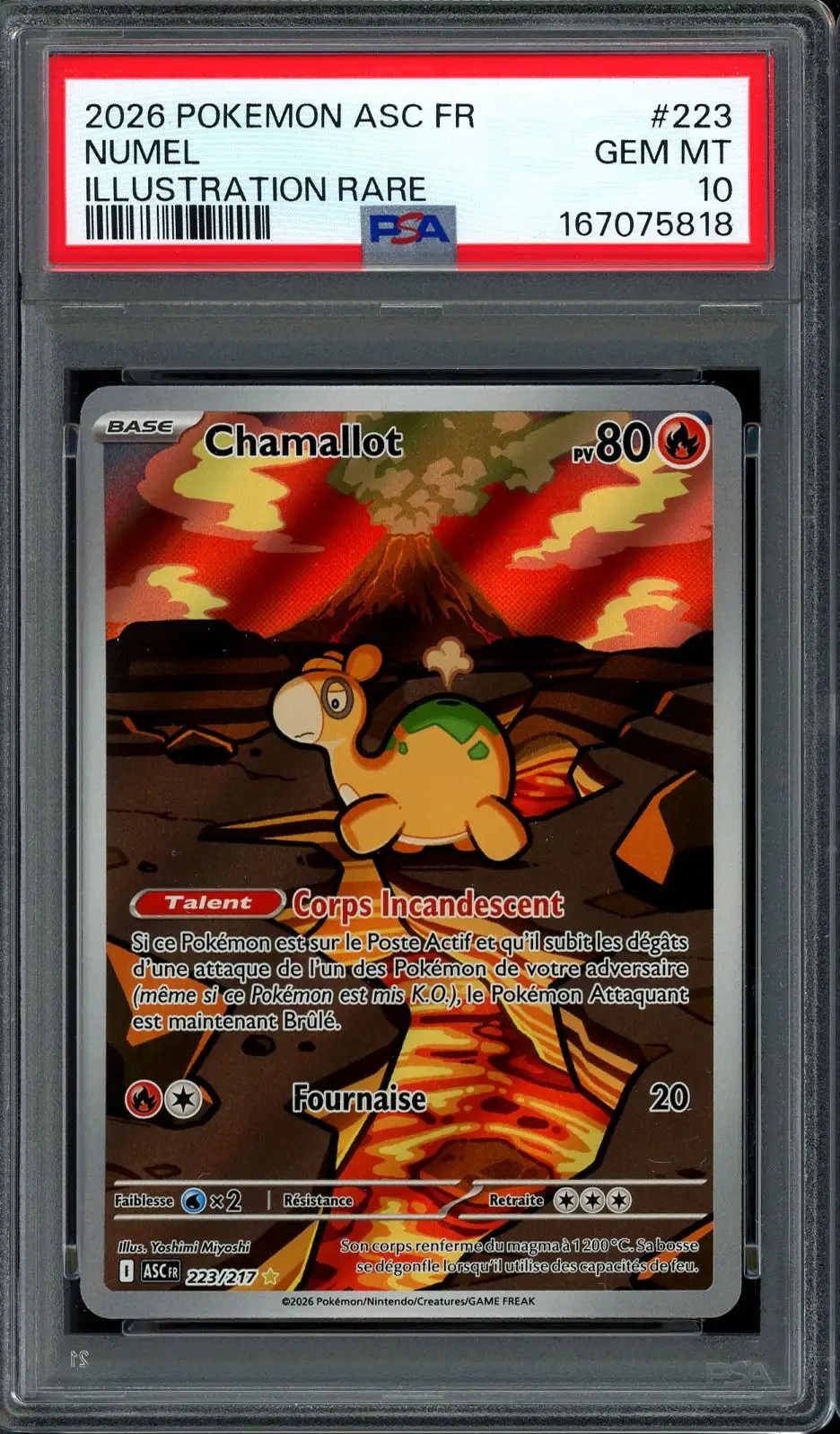 PSA 10 Chamallot