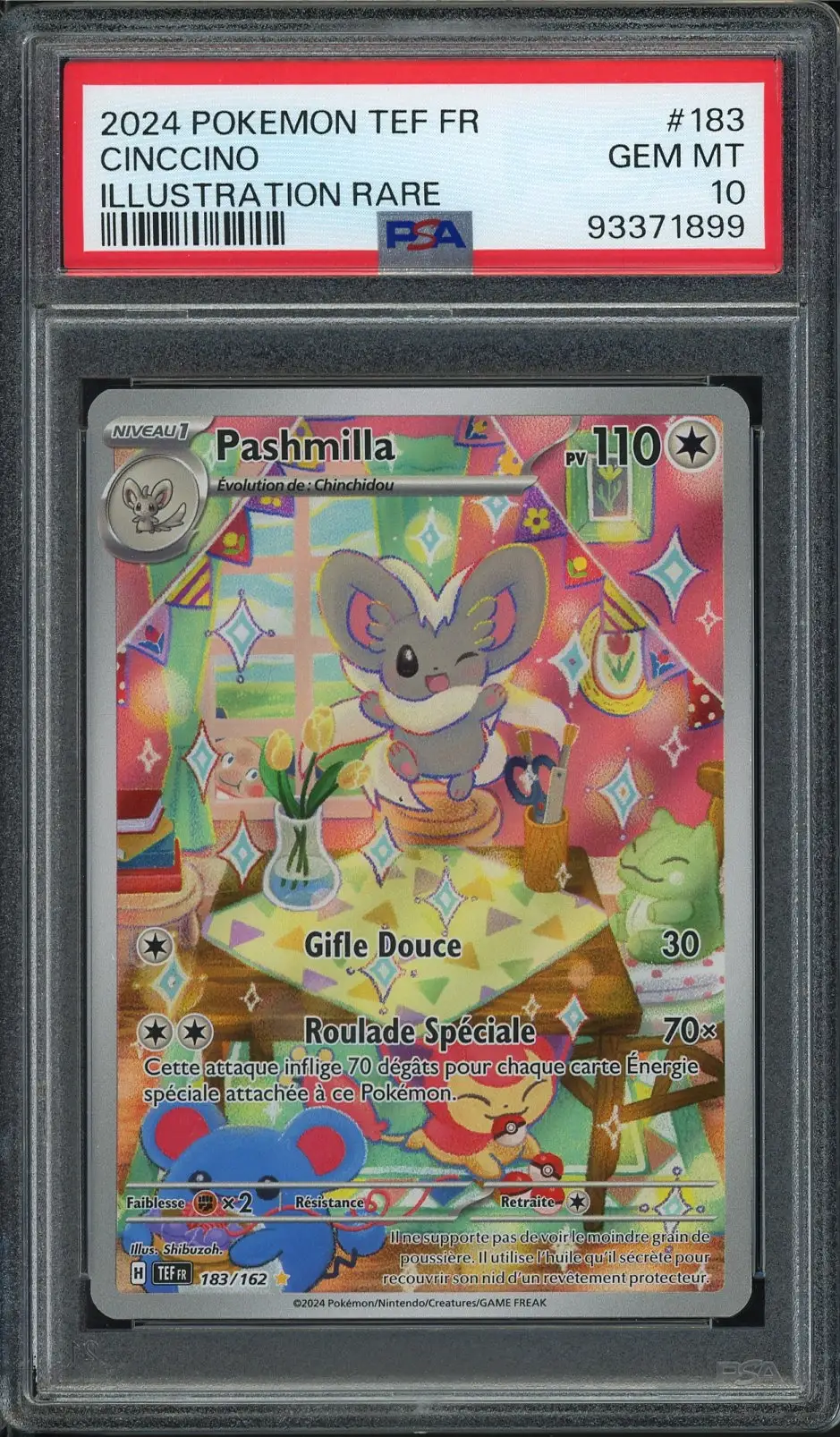 PSA 10 Pashmilla