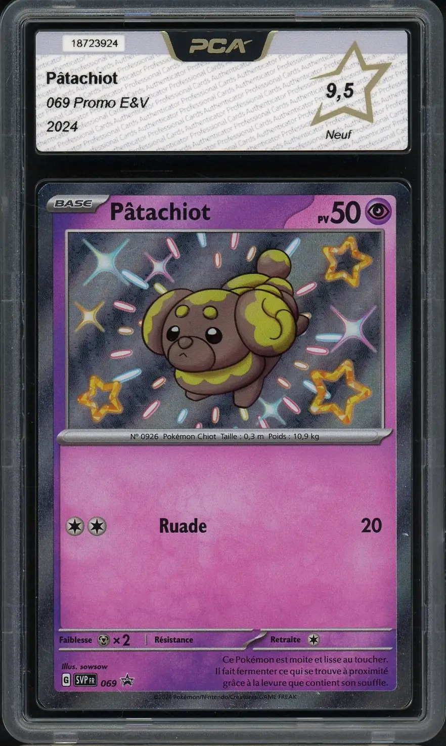 PCA 9.5 Pâtachiot Shiny