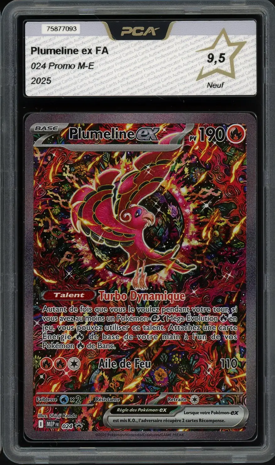 PCA 9.5 Plumeline Ex