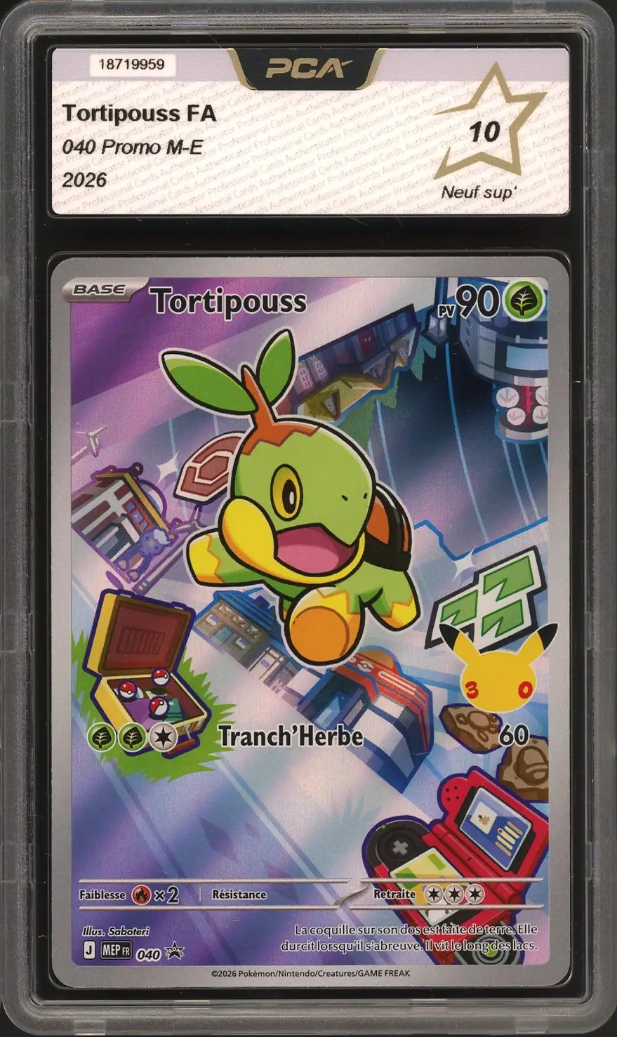 PCA 10 Tortipouss