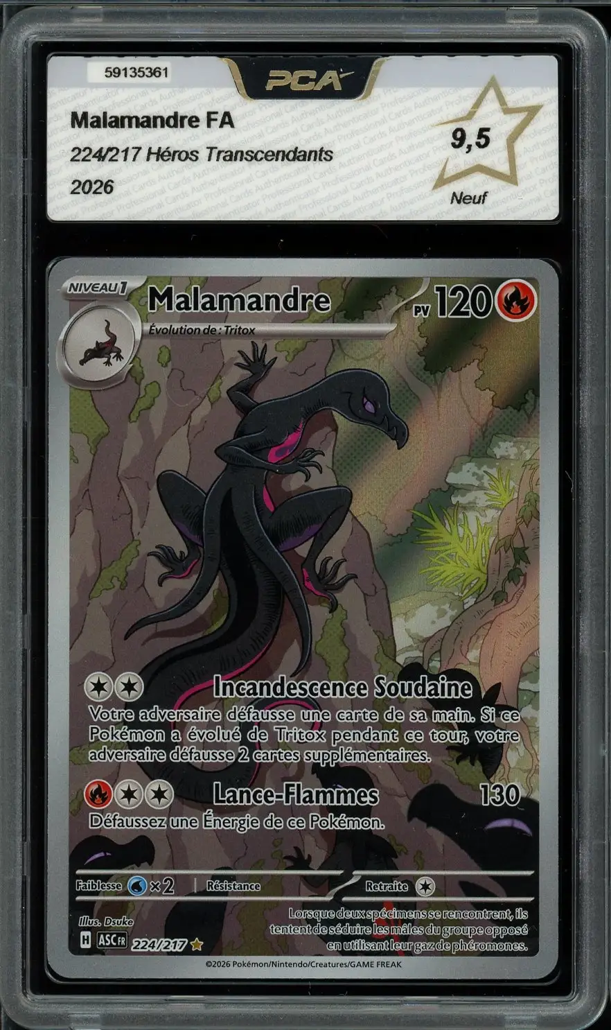 PCA 9.5 Malamandre