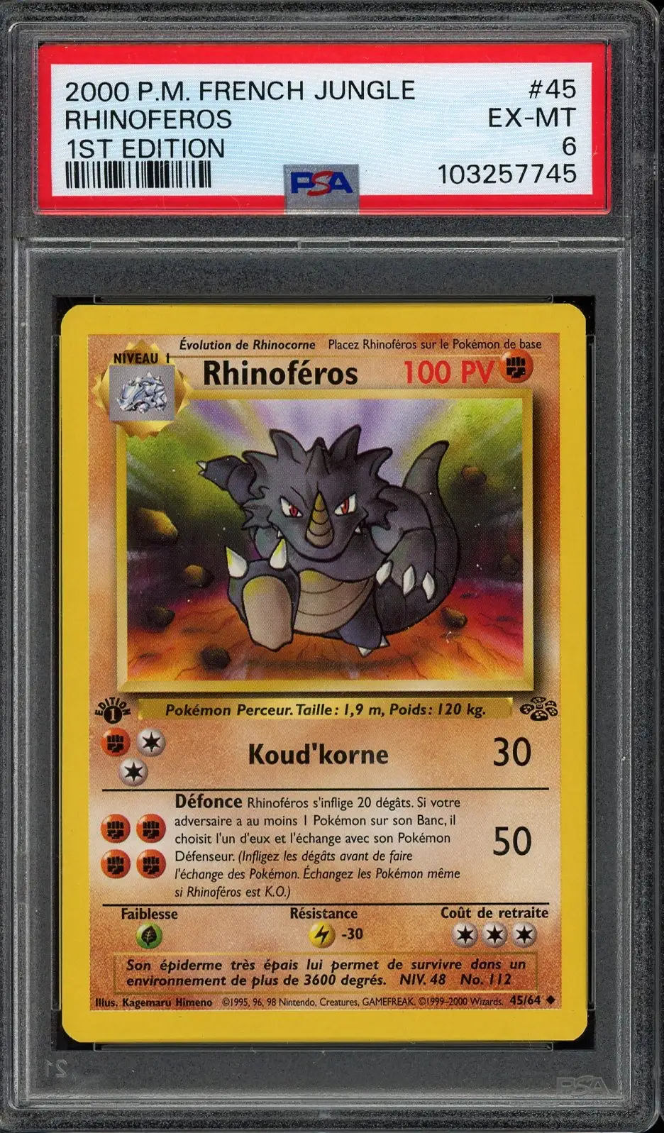 PSA 6 Rhinoféros