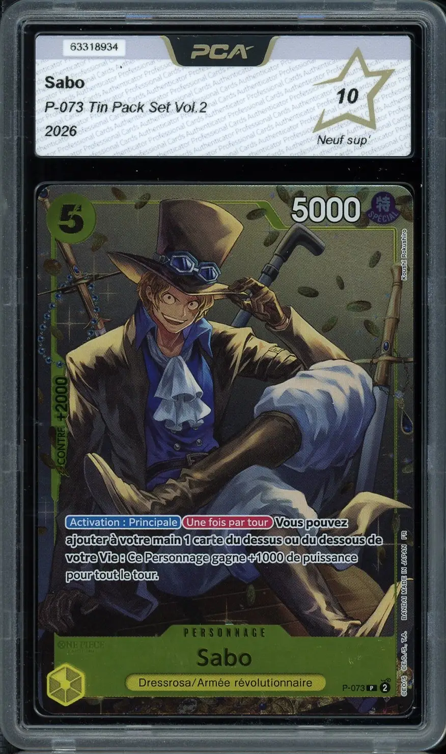 PCA 10 Sabo