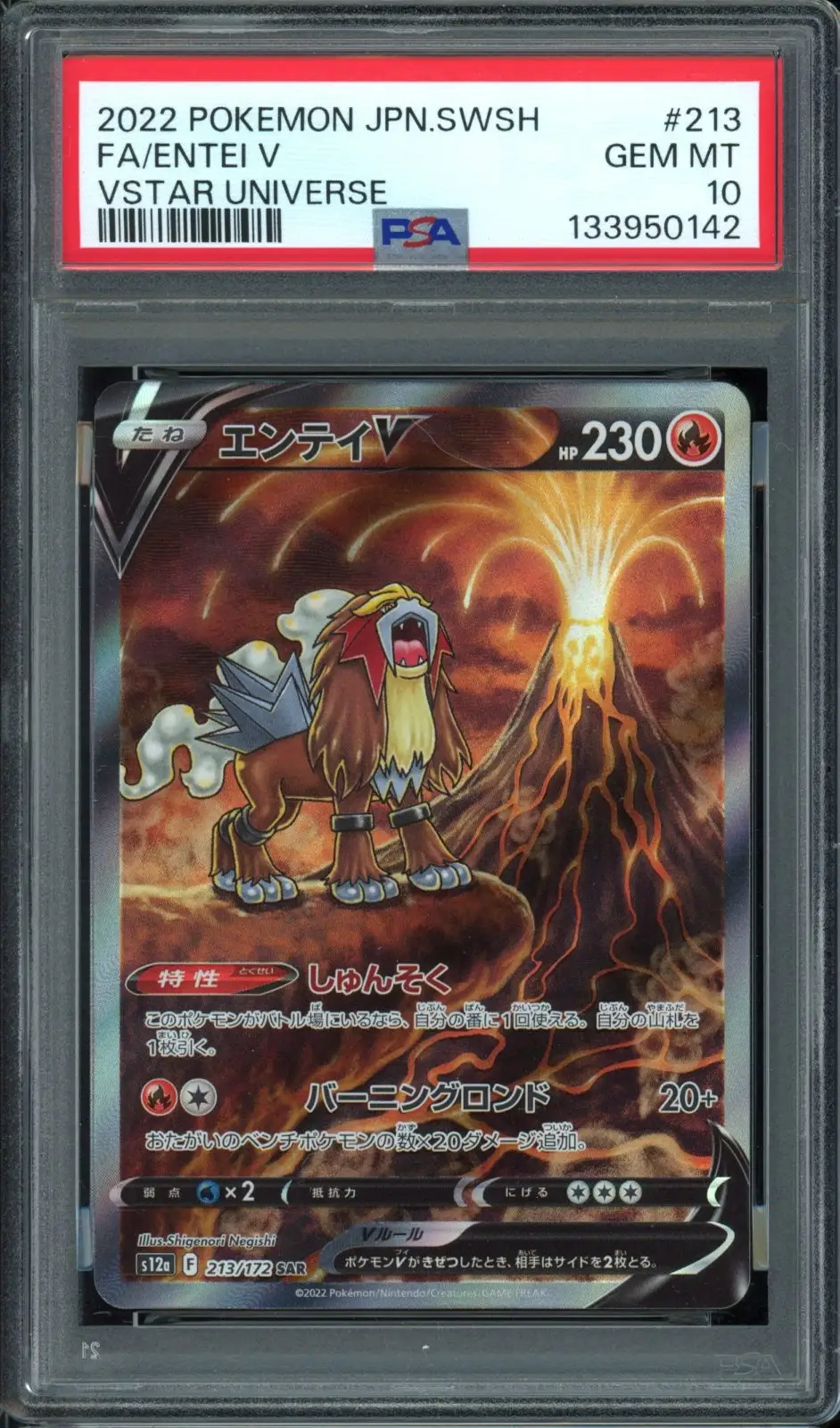 PSA 10 Entei V