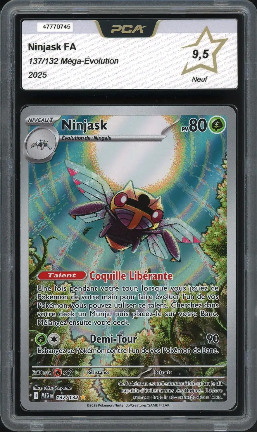 PCA 9.5 Ninjask