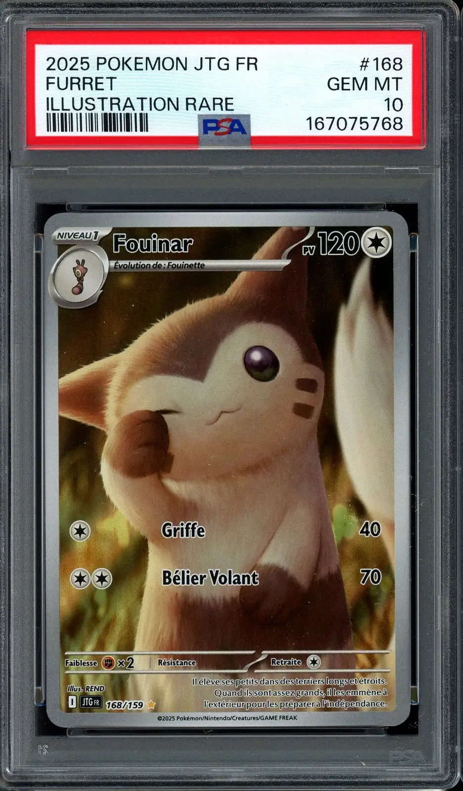 PSA 10 Fouinar