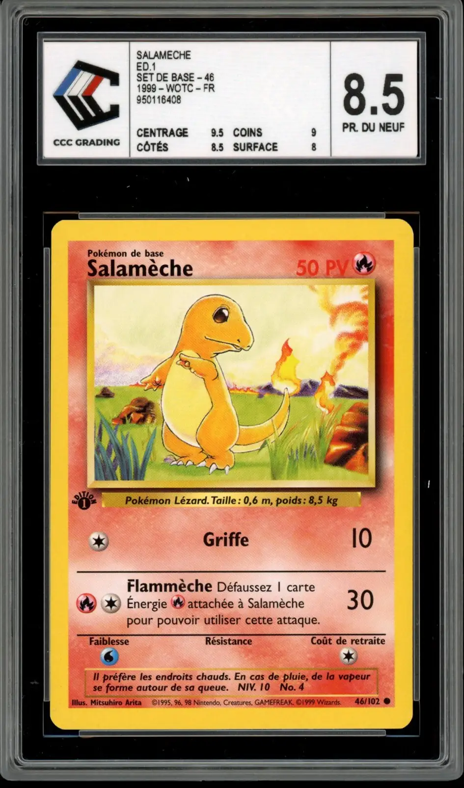 CCC 8.5 Salamèche