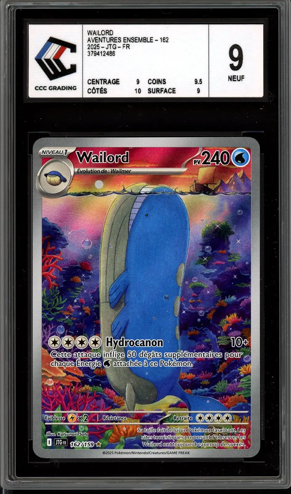CCC 9 Wailord