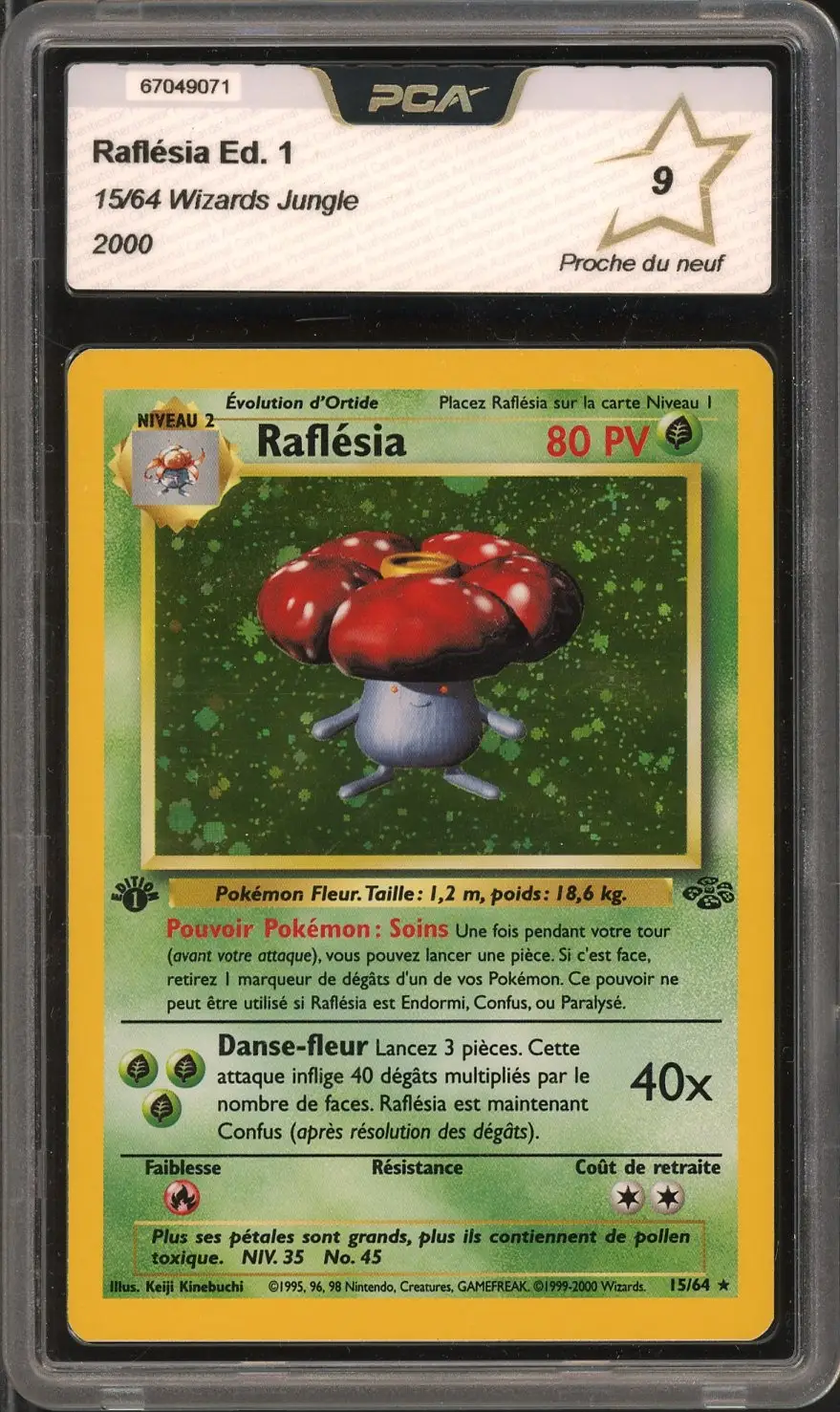 PCA 9 Raflésia Holo