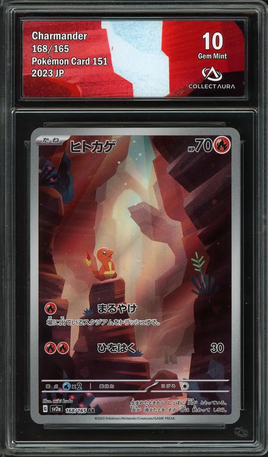 CA 10 Charmander