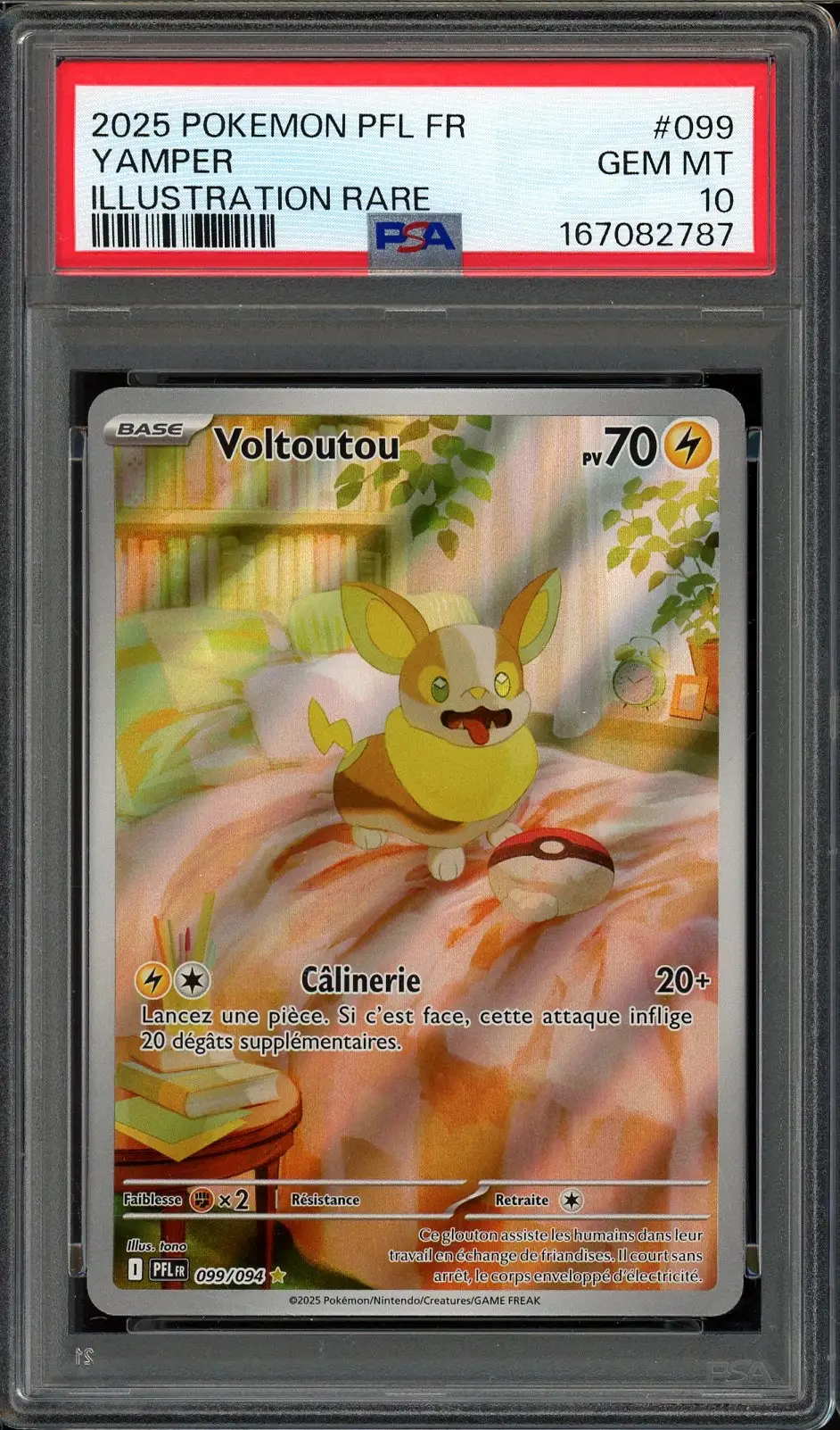 PSA 10 Voltoutou