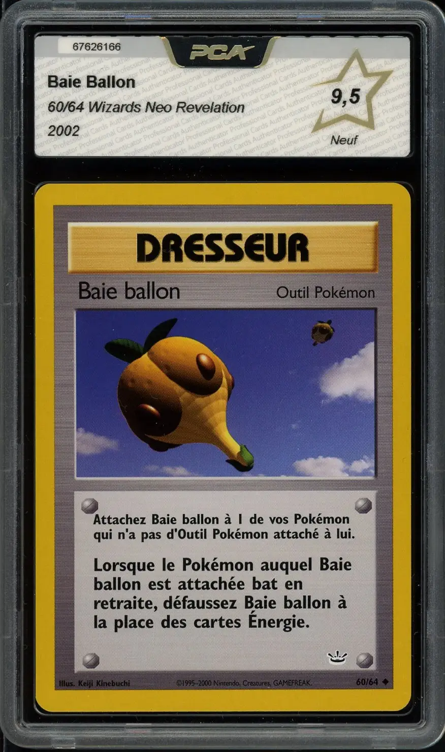 PCA 9.5 Baie Ballon