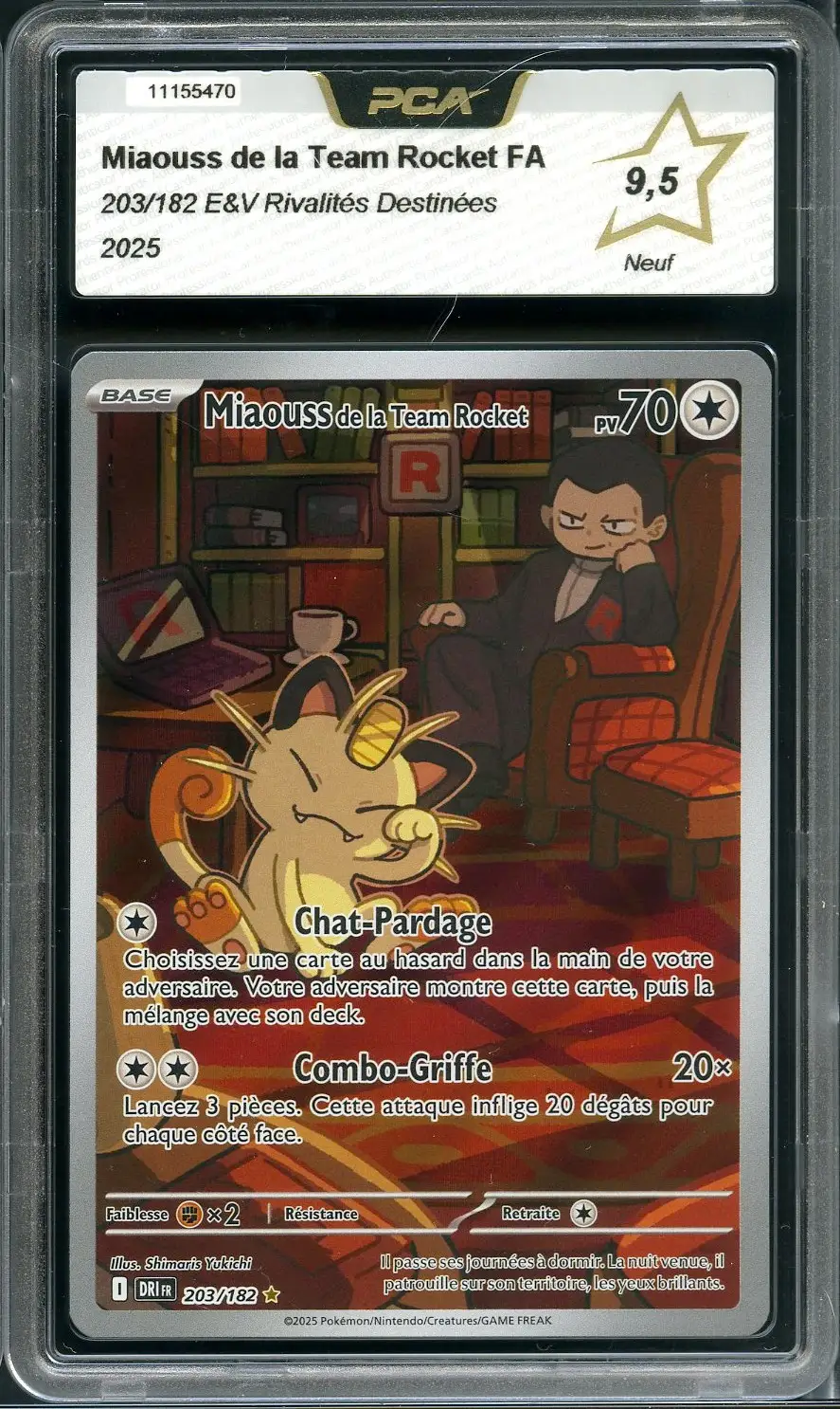 PCA 9.5 Miaouss de la Team Rocket