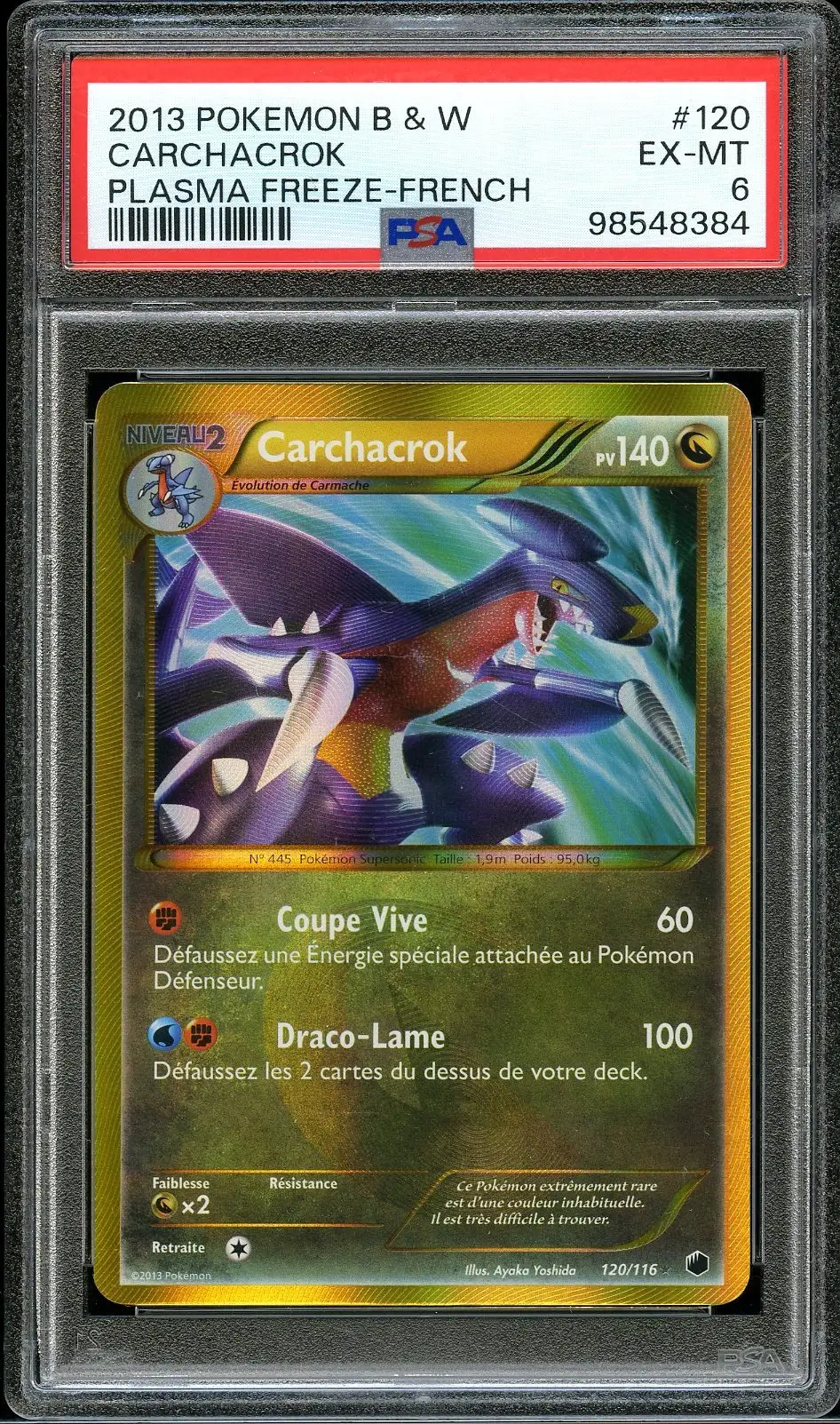 PSA 6 Carchacrok Holo