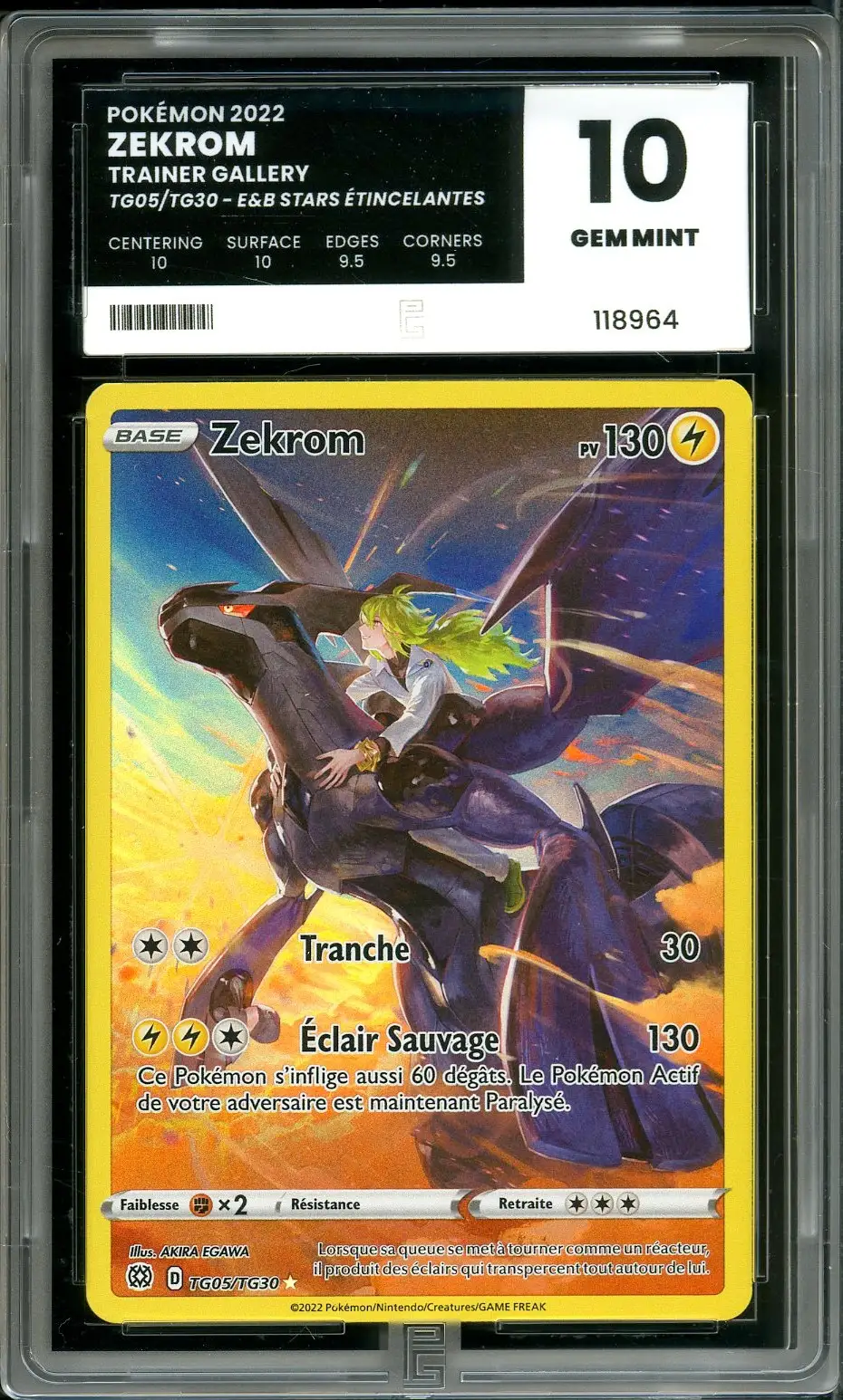 PG 10 Zekrom