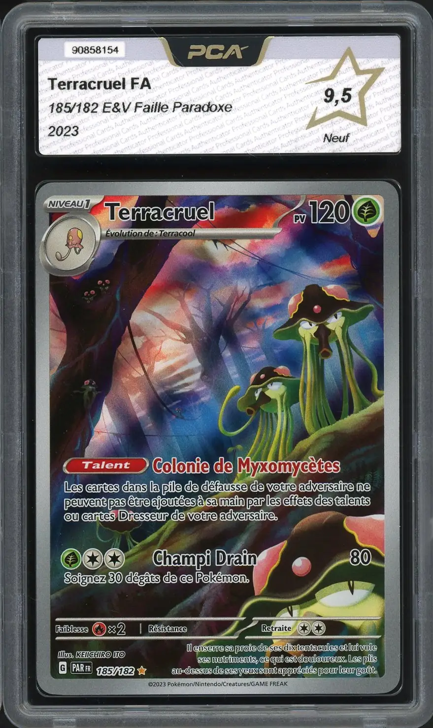 PCA 9.5 Terracruel