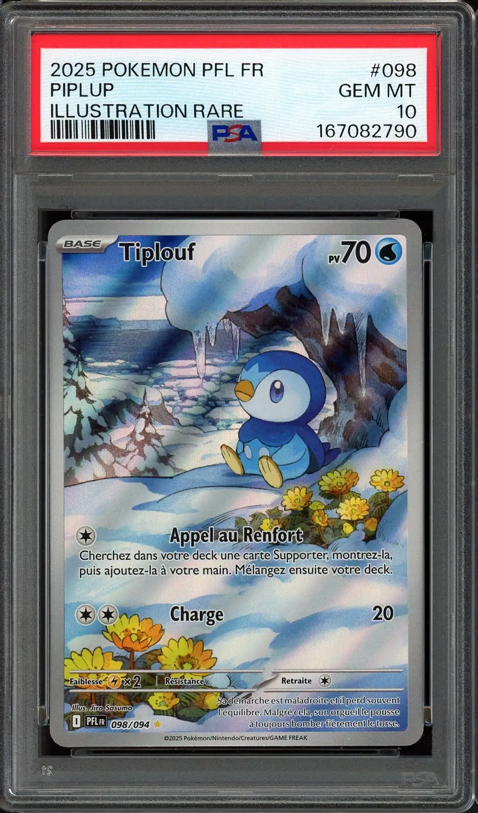 PSA 10 Tiplouf
