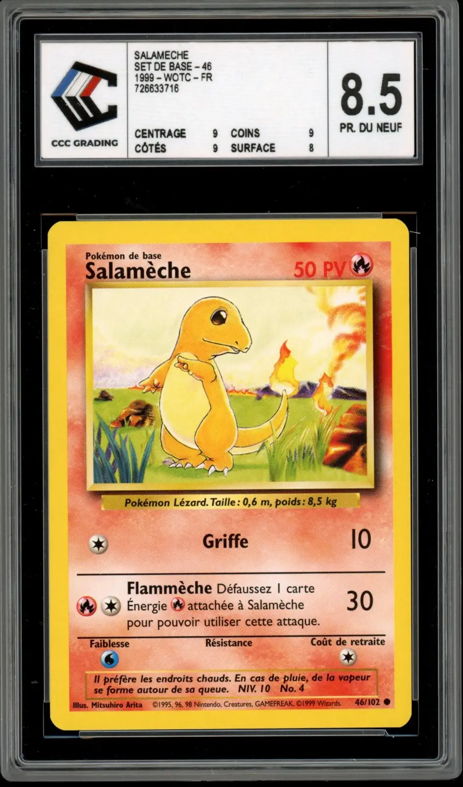 CCC 8.5 Salamèche