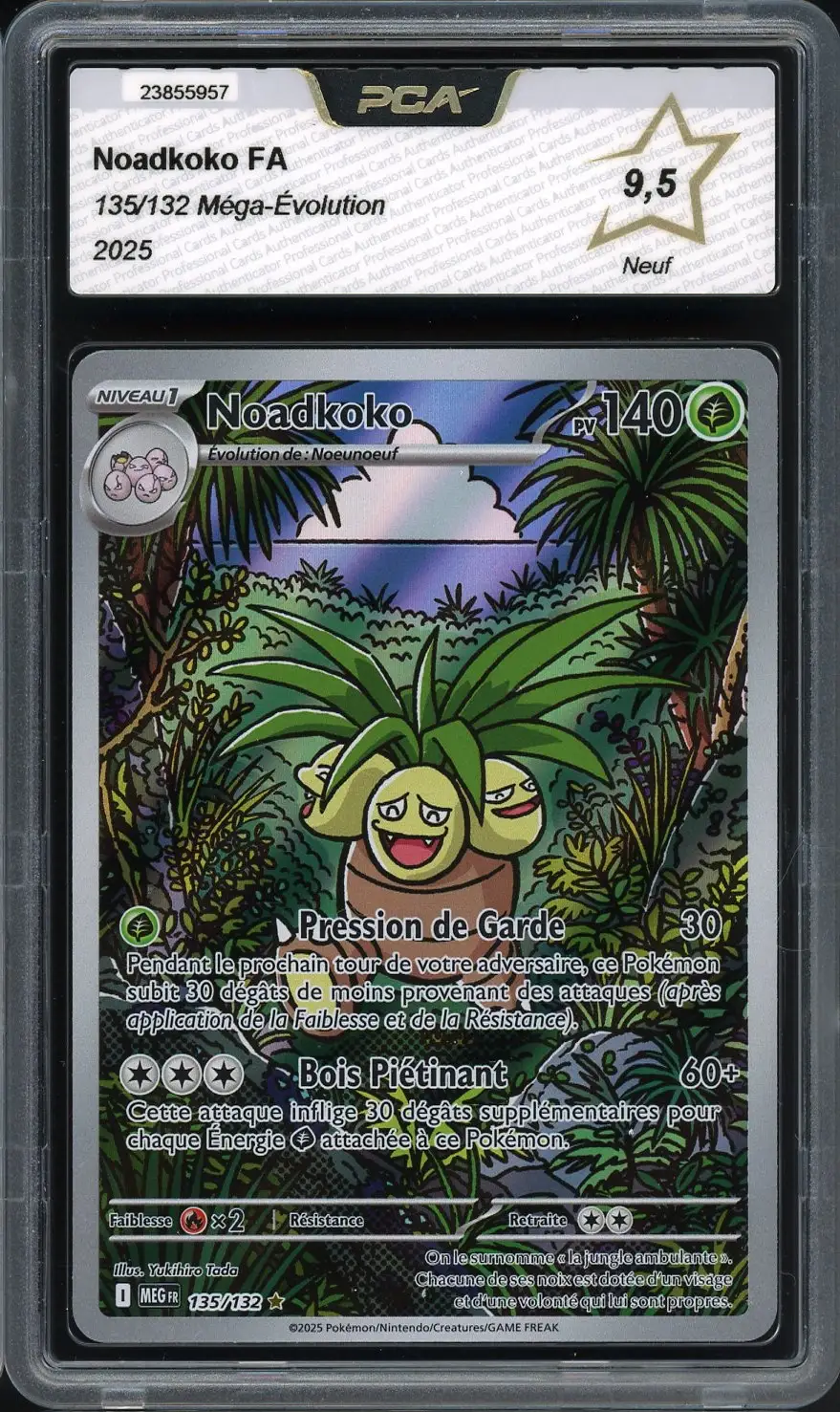 PCA 9.5 Noadkoko
