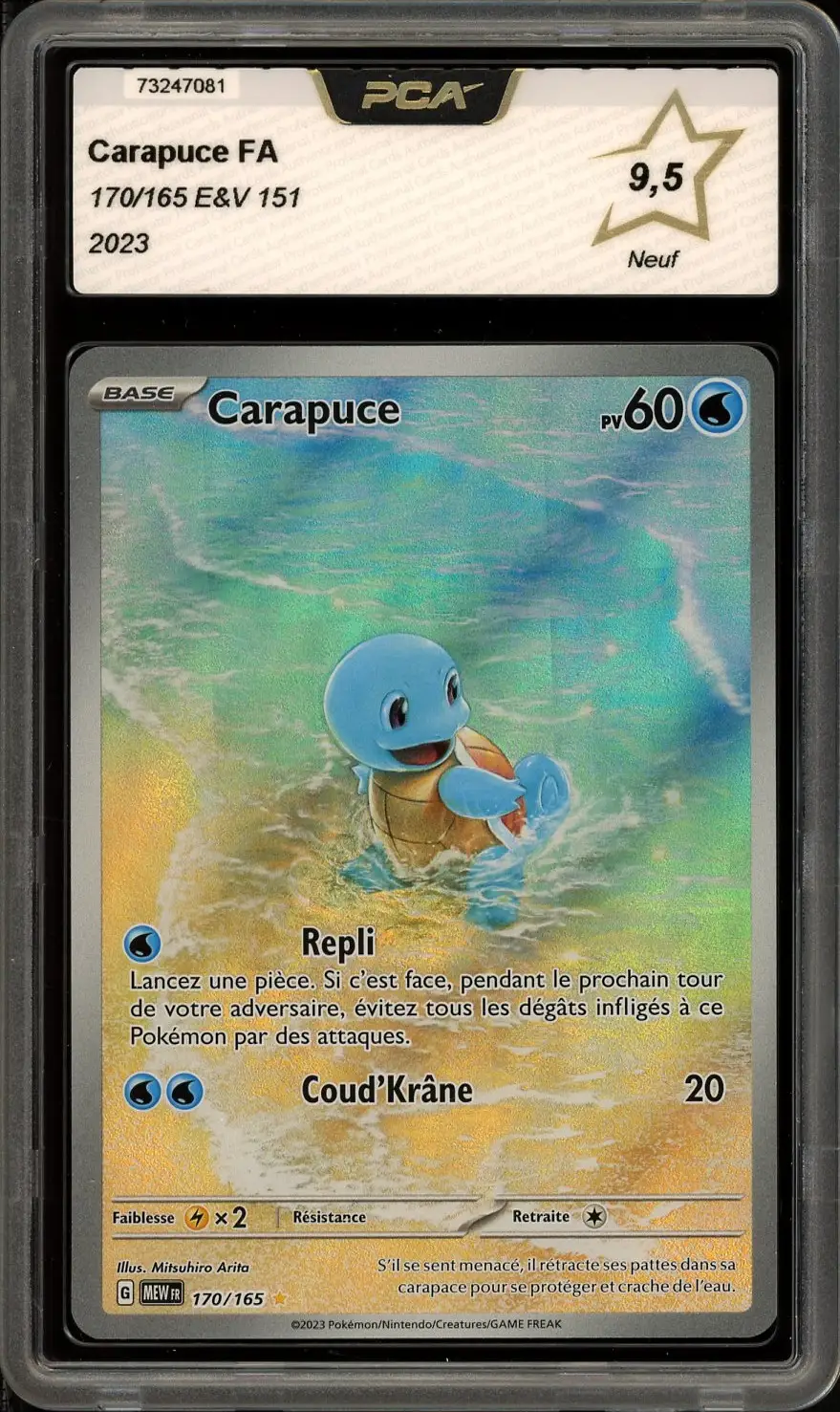 PCA 9.5 Carapuce