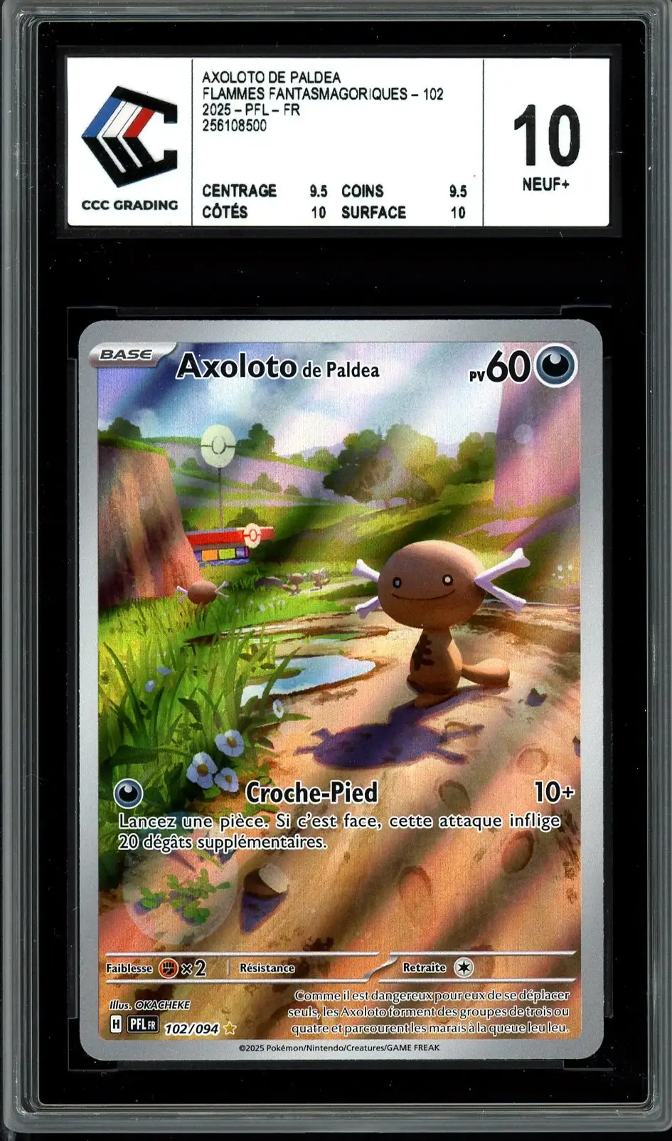 CCC 10 Axoloto de Paldea