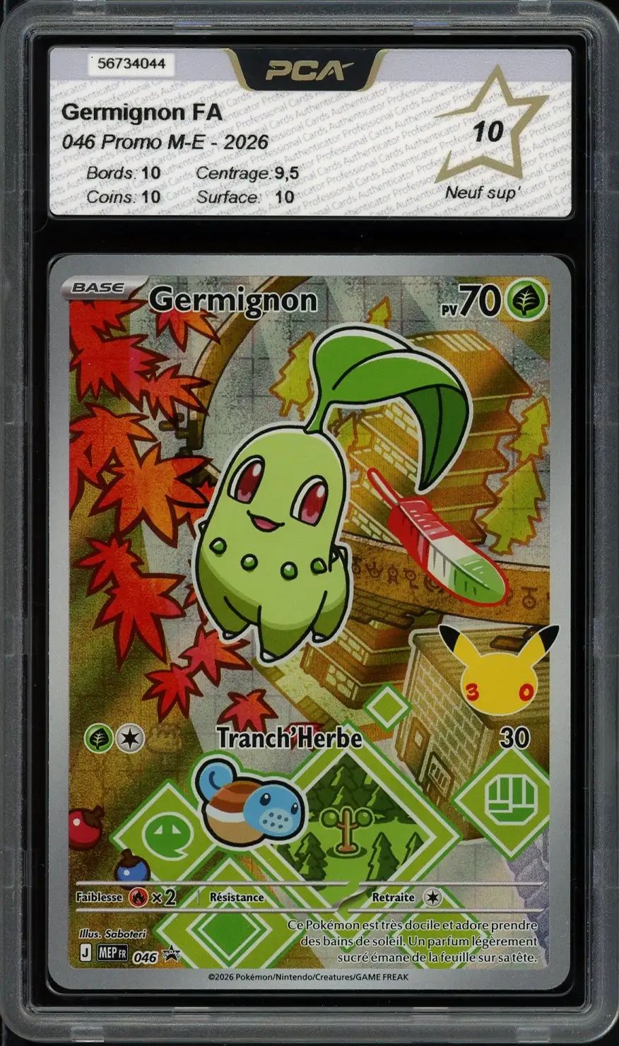PCA 10 Germignon