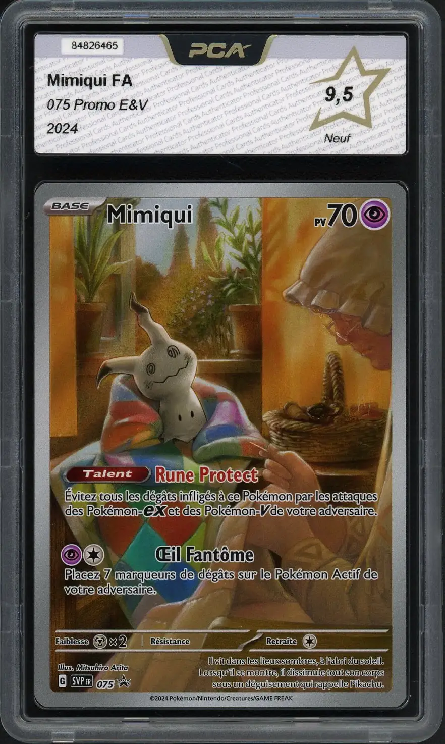 PCA 9.5 Mimiqui
