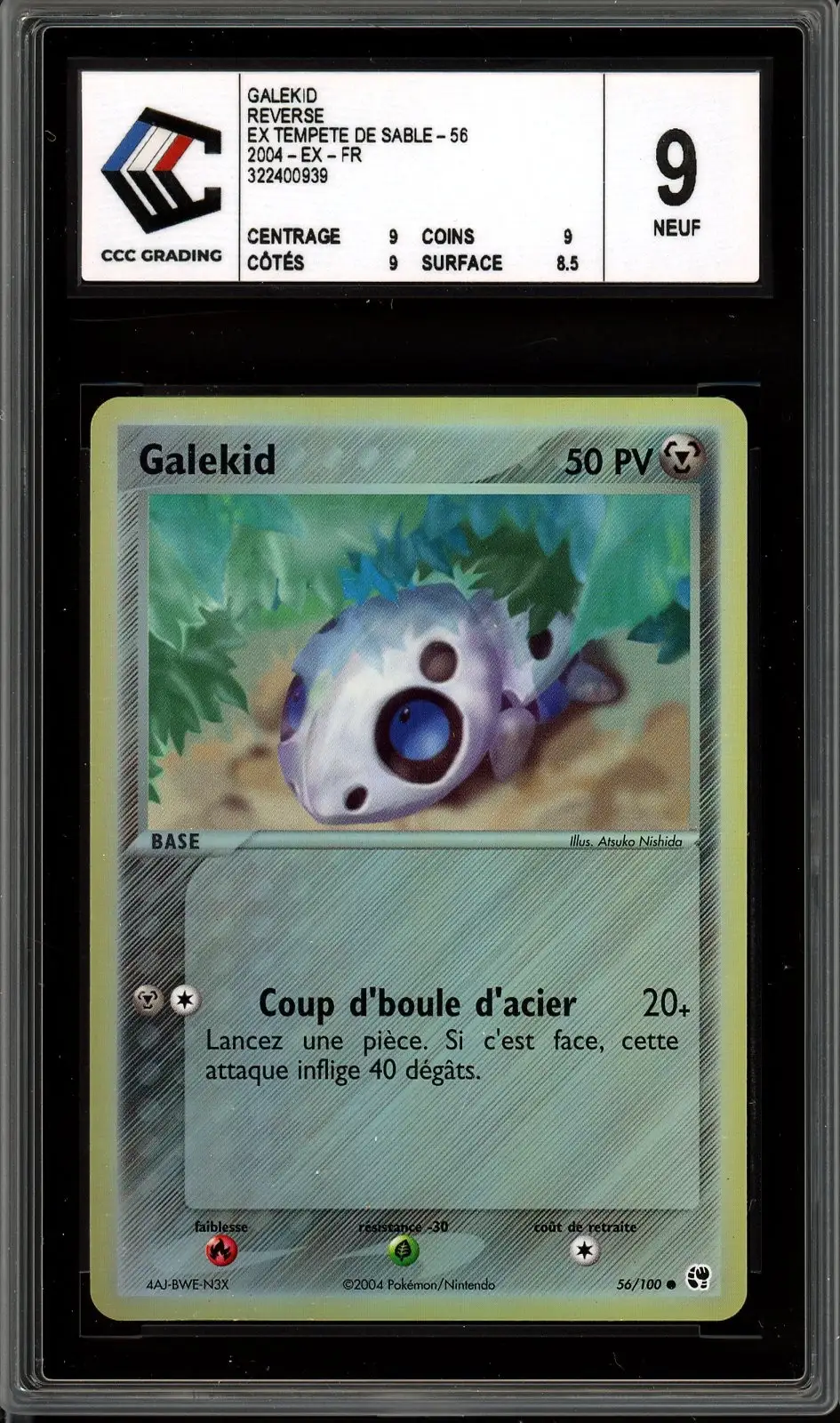 CCC 9 Galekid Reverse