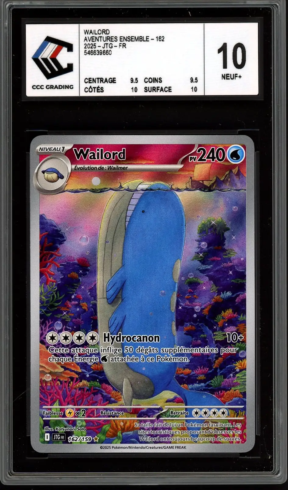 CCC 10 Wailord