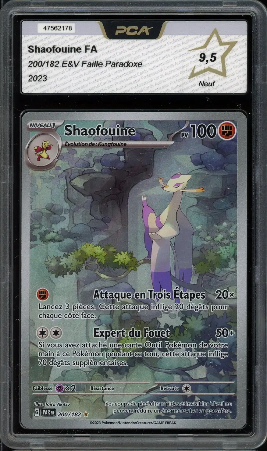 PCA 9.5 Shaofouine