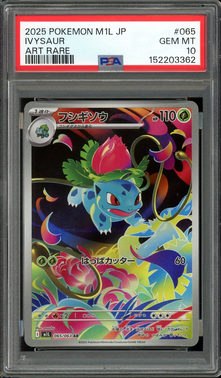 PSA 10 Ivysaur