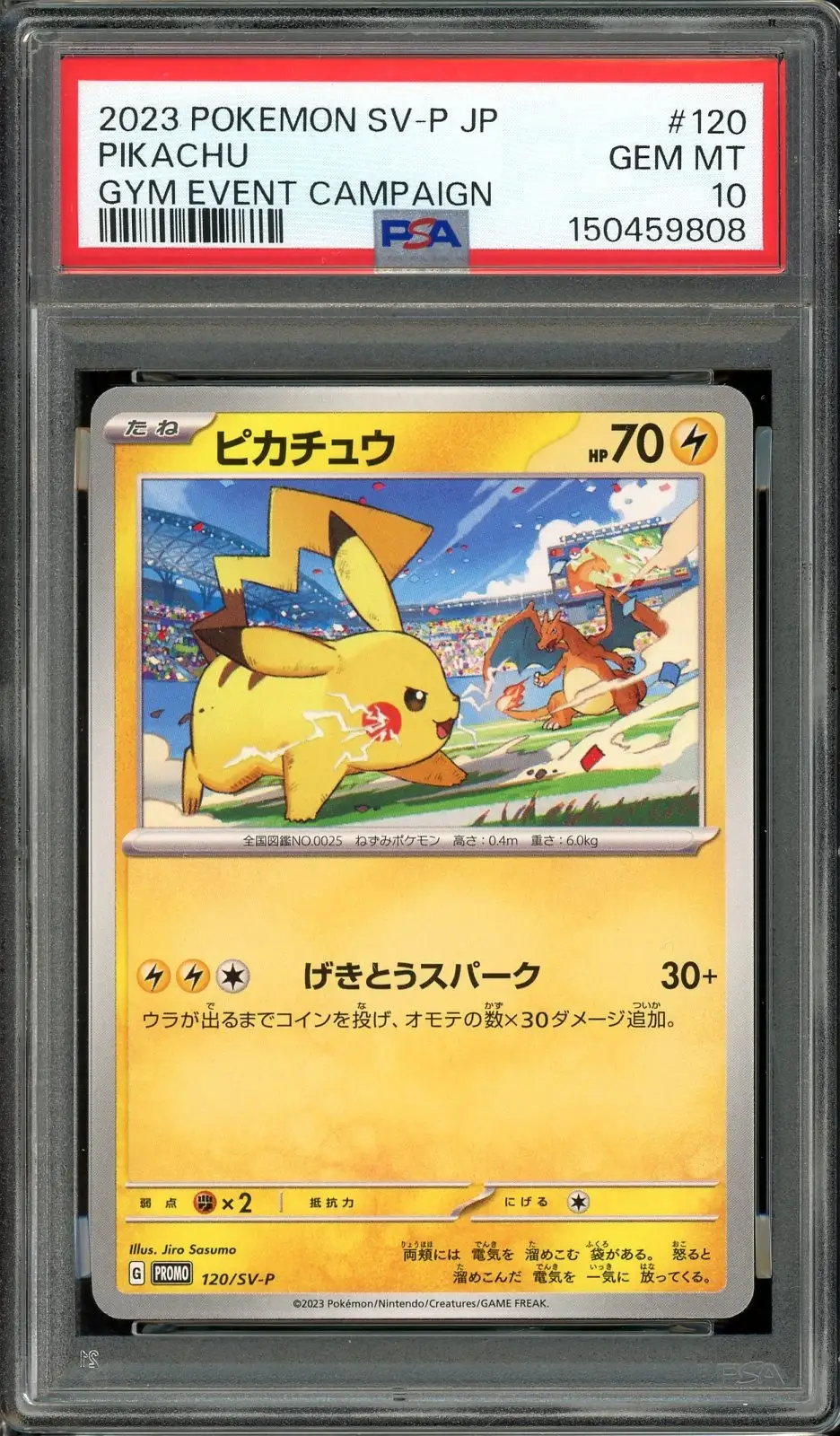 PSA 10 Pikachu