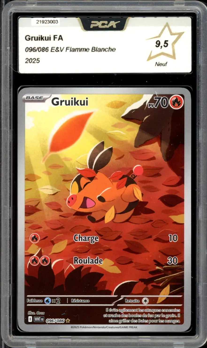 PCA 9.5 Gruikui
