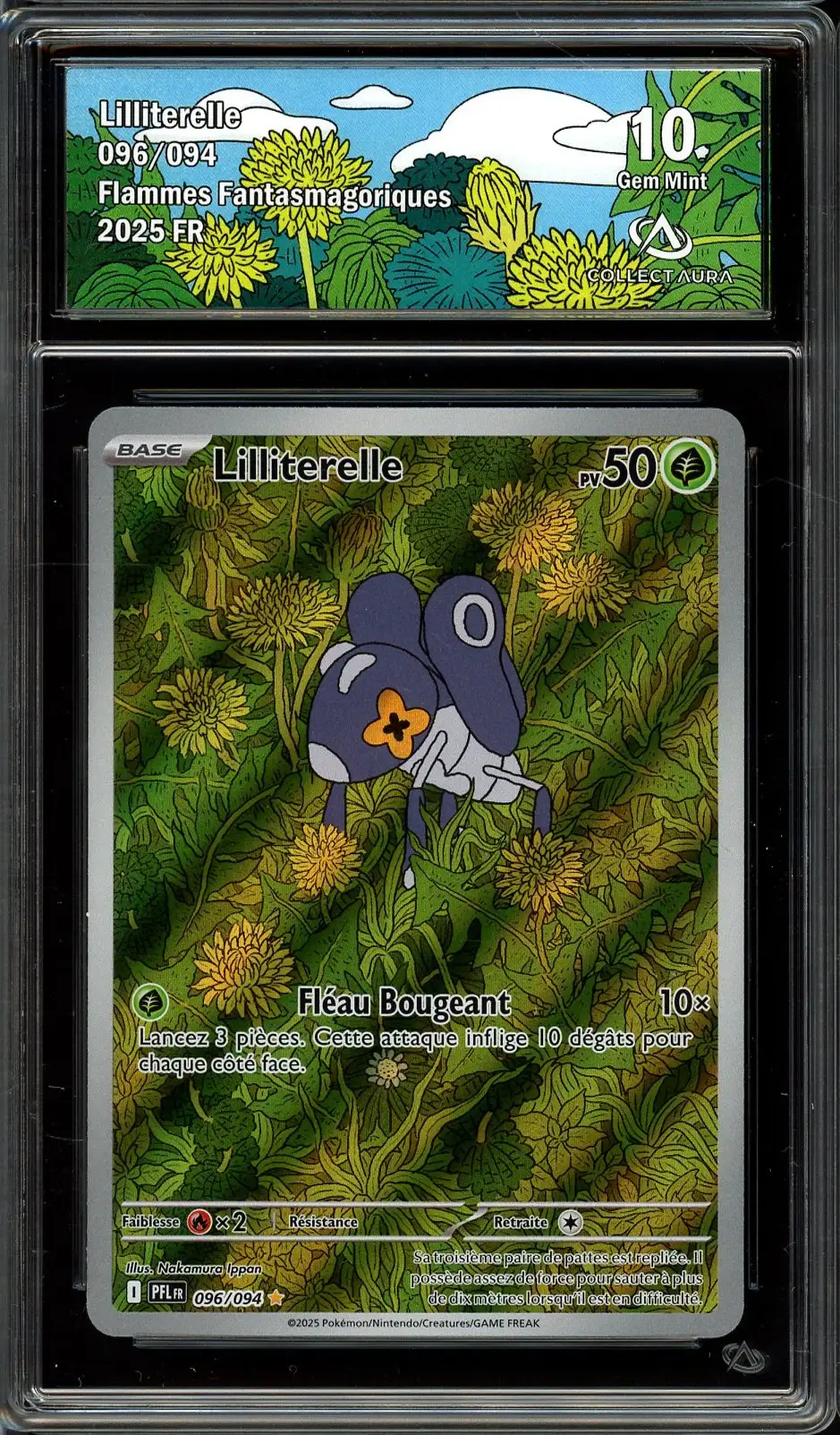 CA 10 Lilliterelle