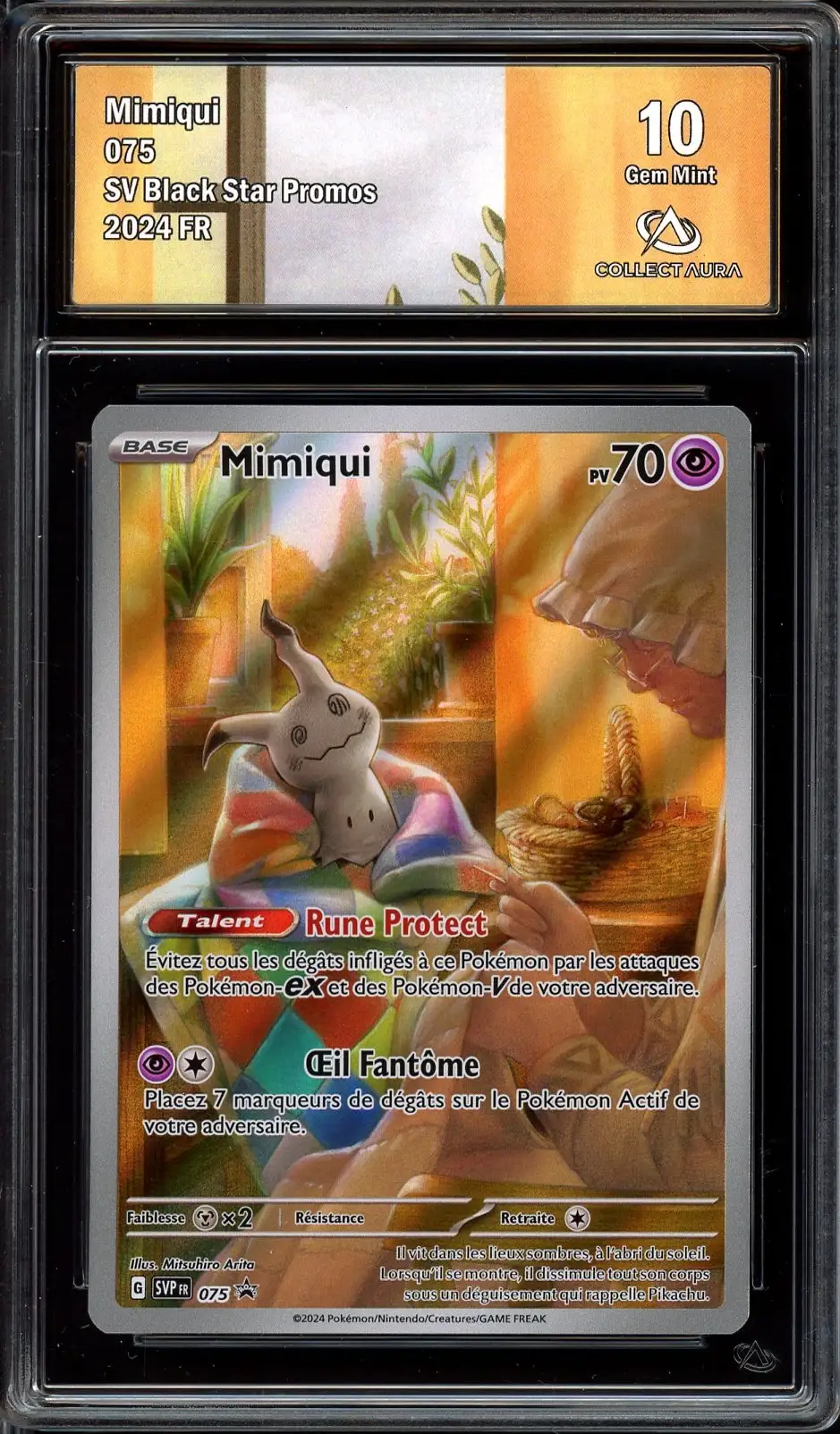 CA 10 Mimiqui