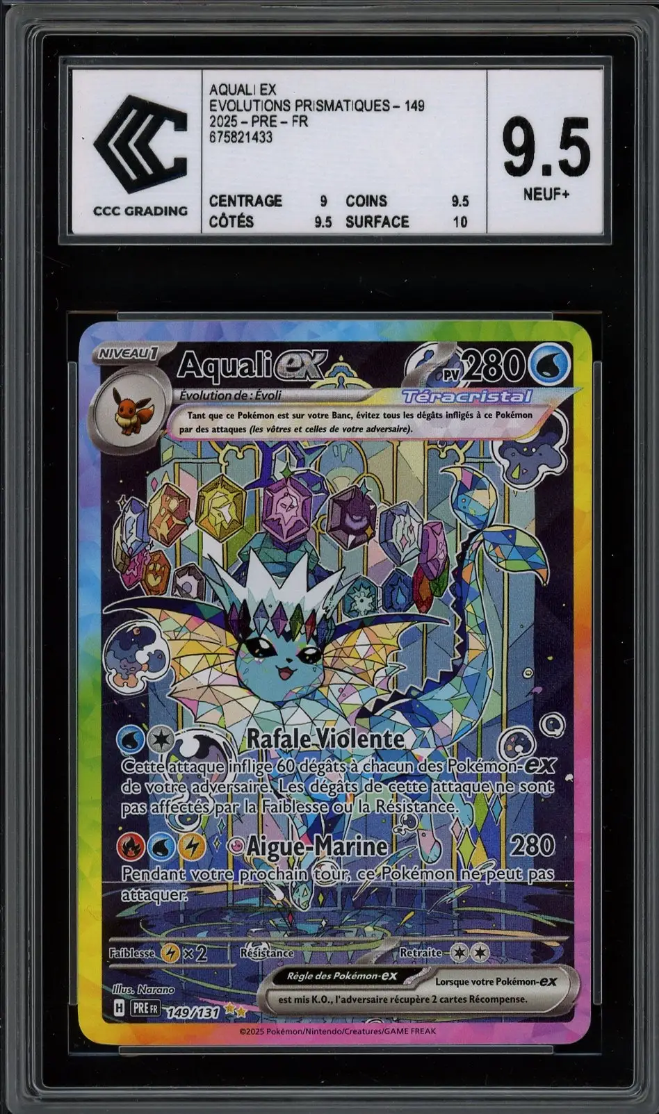 CCC 9.5 Aquali Ex