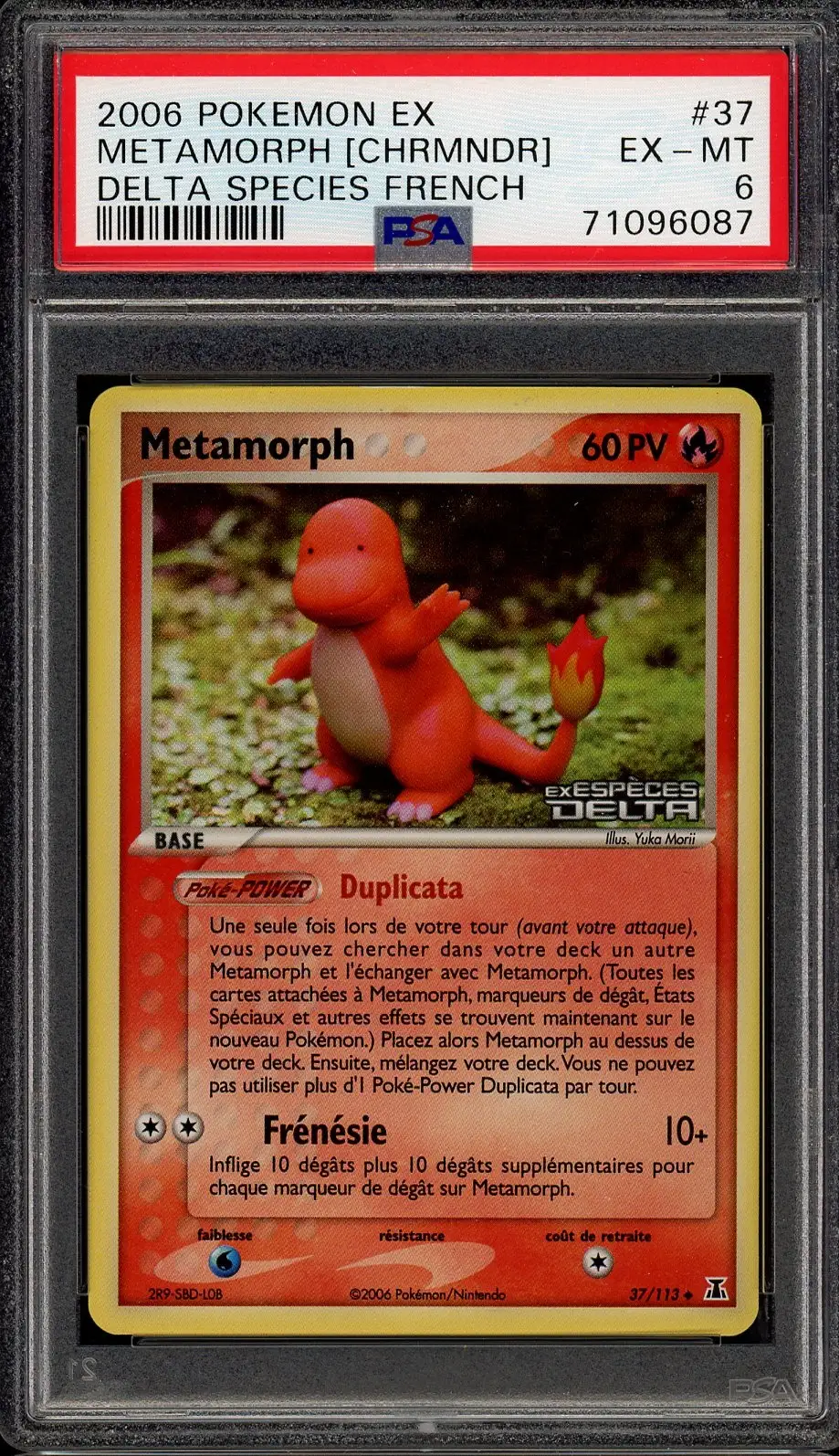 PSA 6 Métamorph (Salamèche) Reverse