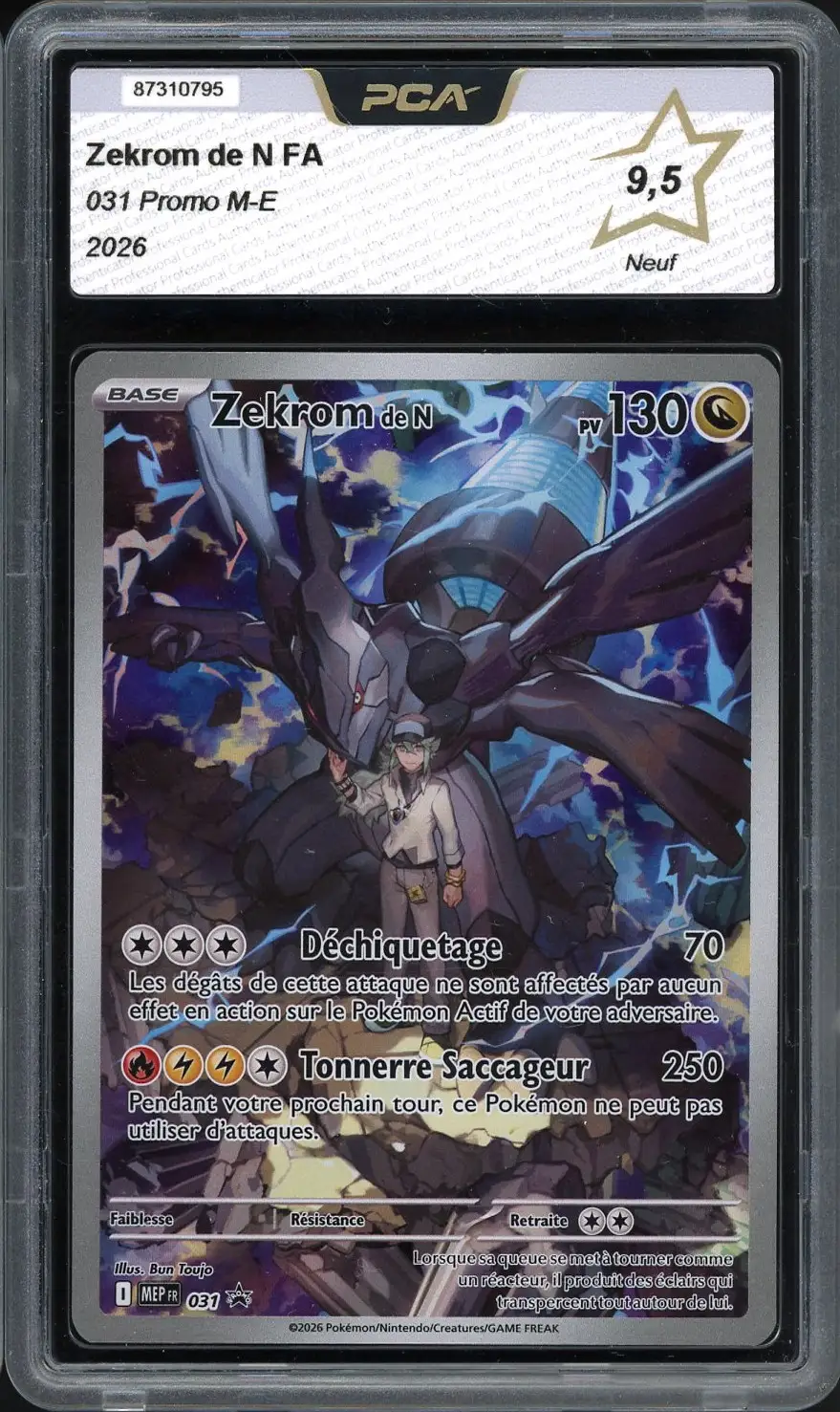 PCA 9.5 Zekrom de N