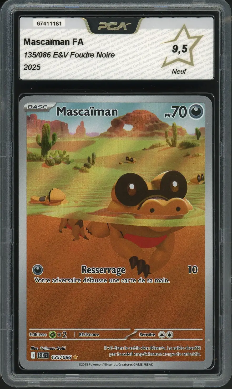 PCA 9.5 Mascaïman