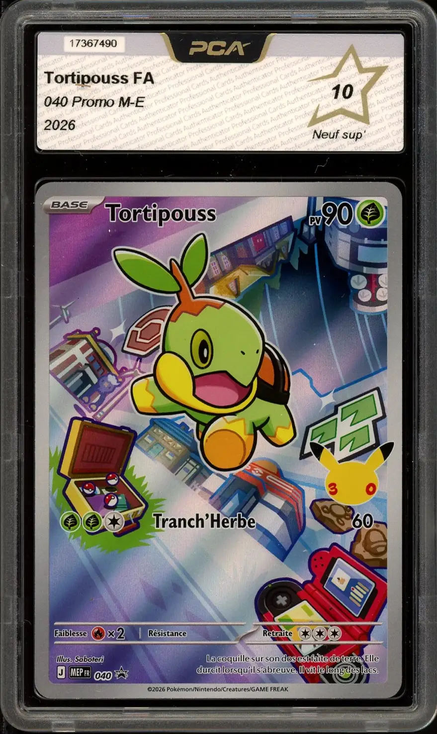 PCA 10 Tortipouss