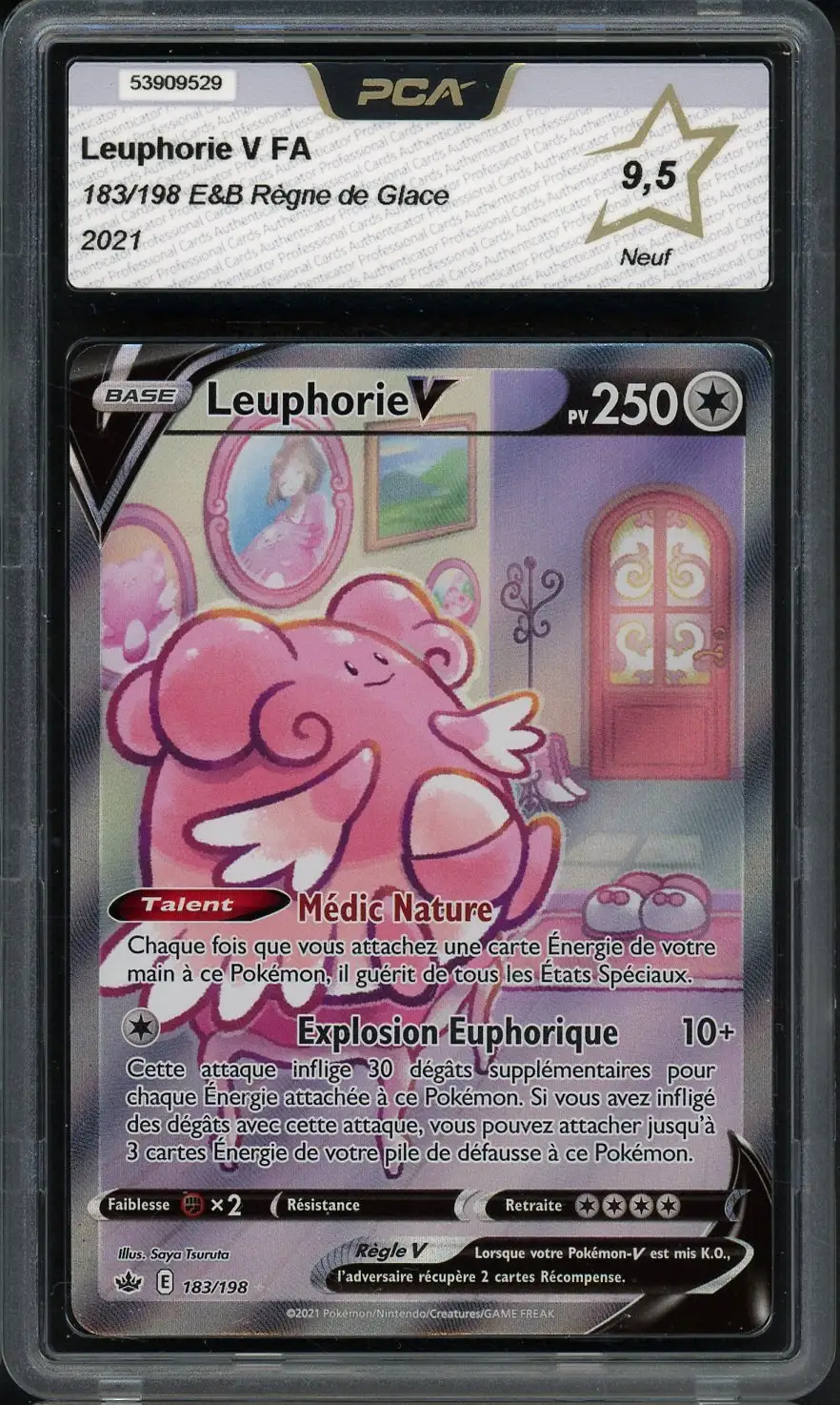 PCA 9.5 Leuphorie V