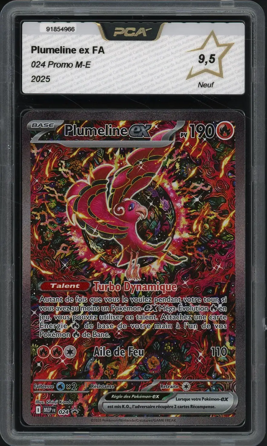 PCA 9.5 Plumeline Ex