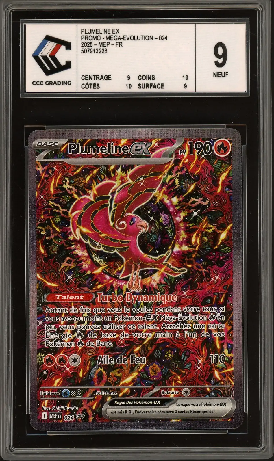 CCC 9 Plumeline Ex