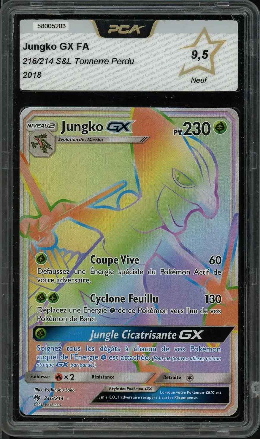 PCA 9.5 Jungko Gx Rainbow