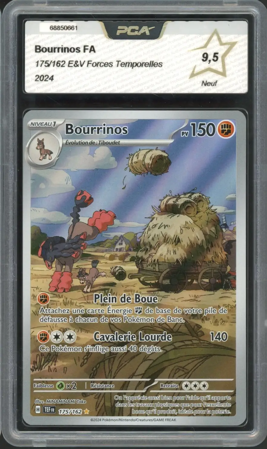PCA 9.5 Bourrinos