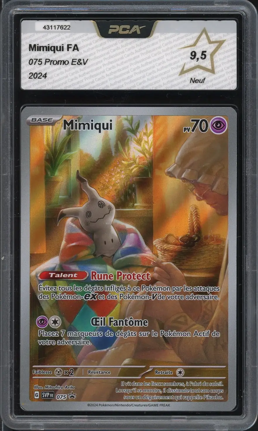 PCA 9.5 Mimiqui