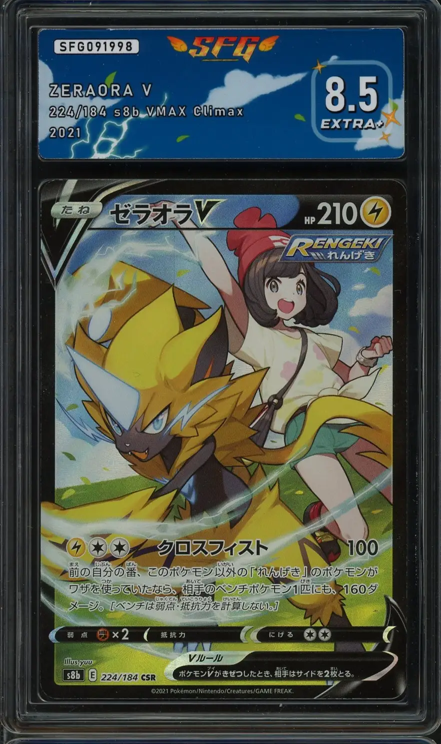 SFG 8.5 Zeraora V